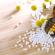 A méhnyak eróziójának okai és kezelése