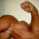Roturas de los tendones del músculo bíceps braquial (bíceps) Los dos músculos principales del hombro.